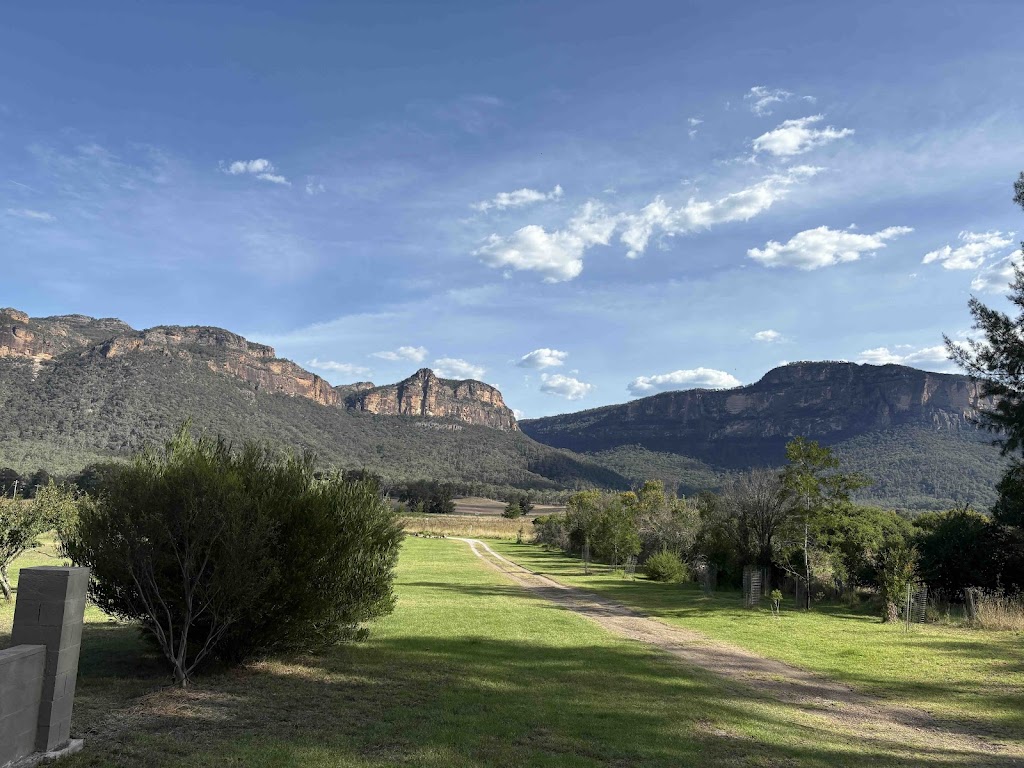 Corinne Loxton Blue Mountains Landscape Artist | 12 Jamison St, Blaxland NSW 2774, Australia | Phone: 0432 922 653