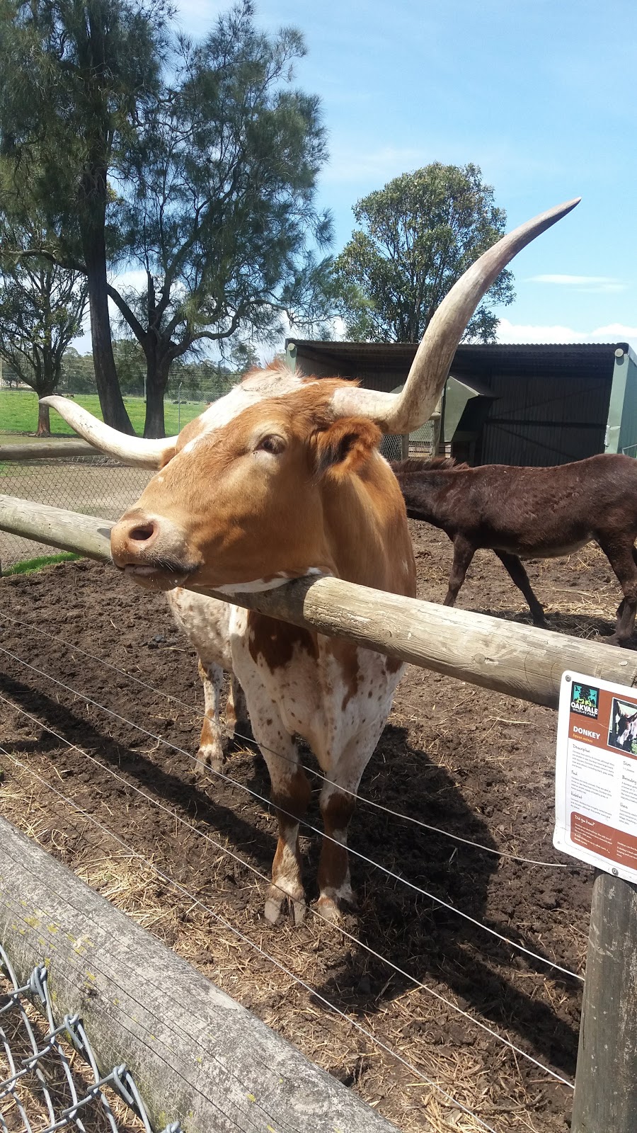 Oakvale Wildlife Park | 3 Oakvale Dr, Salt Ash NSW 2318, Australia | Phone: (02) 4982 6222