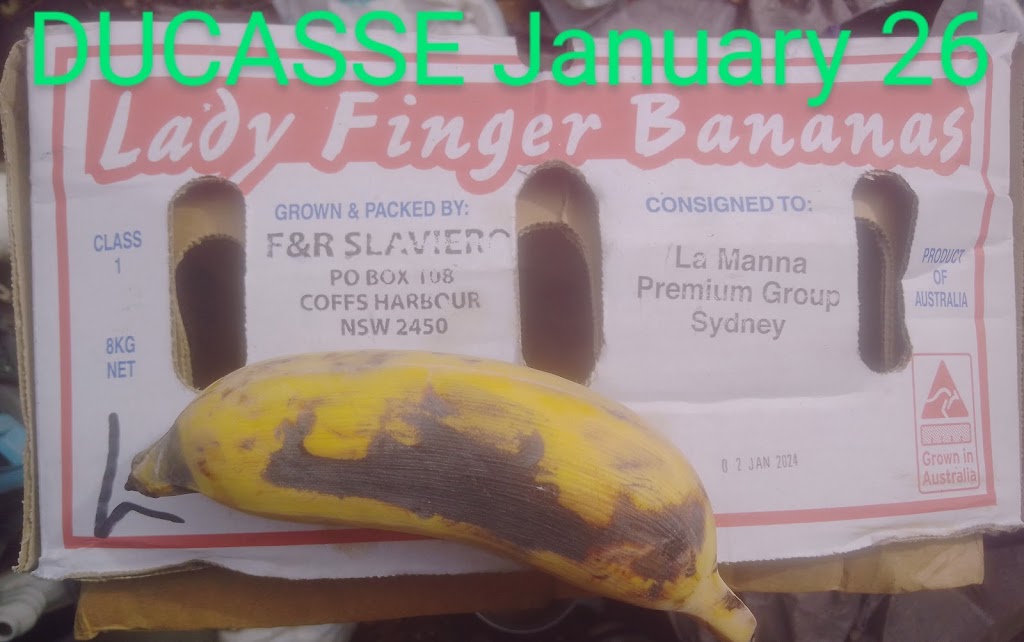 F & R SLAVIERO | 249A Coramba Rd, Coffs Harbour NSW 2450, Australia | Phone: (02) 6651 2243