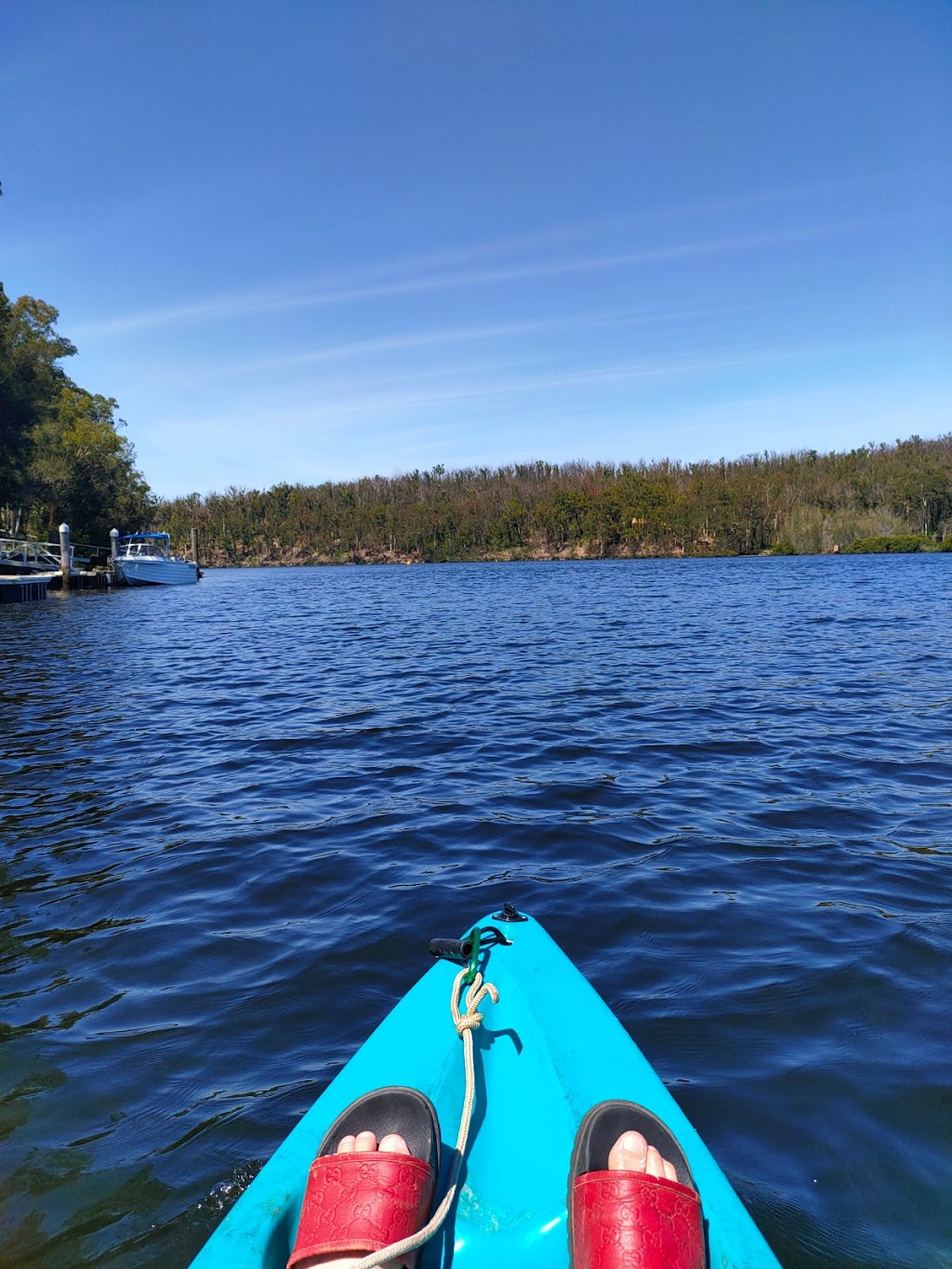 Nelligen Kayak Hire |  | Wharf St, Nelligen NSW 2536, Australia | 0436016856 OR +61 436 016 856