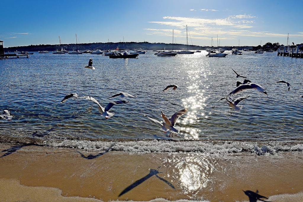 Gibsons Beach Reserve | park | Vaucluse NSW 2030, Australia