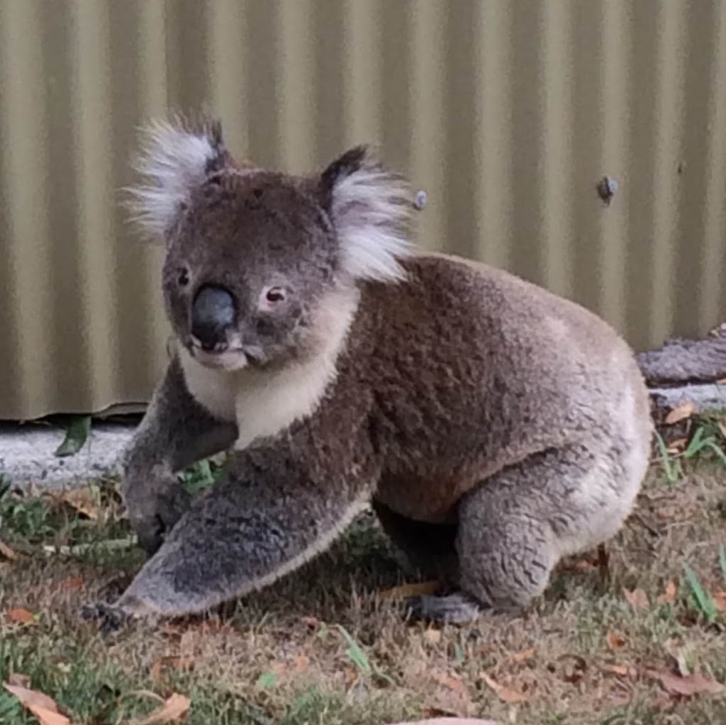 Shearwater Cottages | lodging | 760 Lighthouse Rd, Cape Otway VIC 3233, Australia | 0352379121 OR +61 3 5237 9121