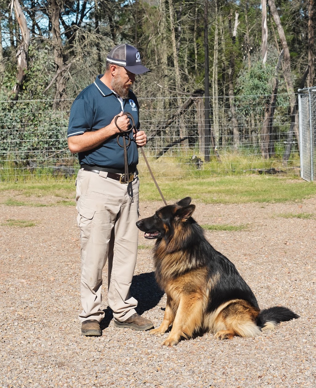 Loose Leads Dog Training | Bakers Swamp NSW 2820, Australia | Phone: 0408 018 946