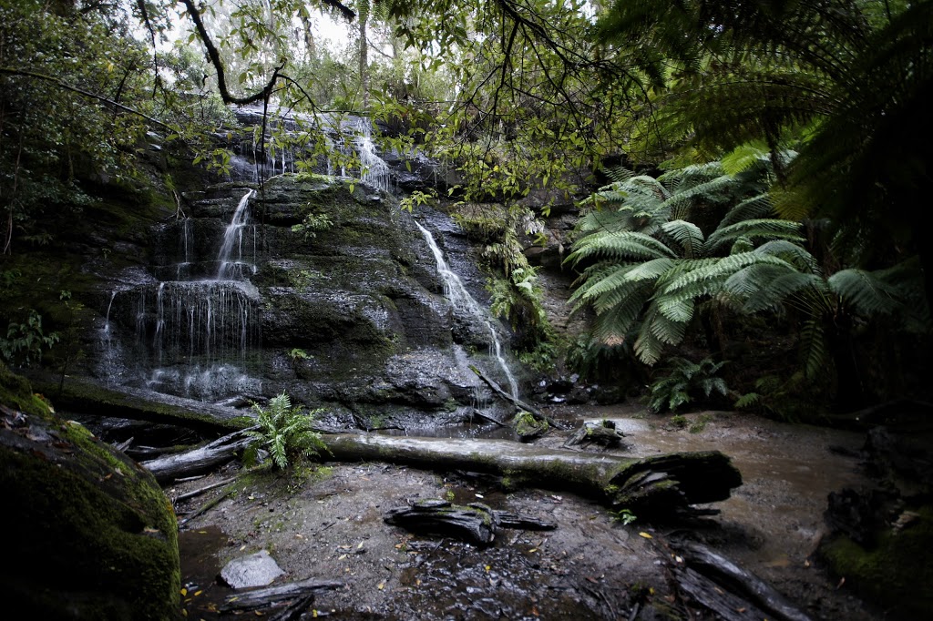 Henderson Falls | Henderson Track, Lorne VIC 3232, Australia | Phone: 13 19 63