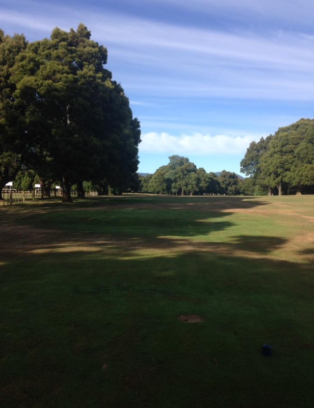 Scottsdale Golf Club | 97 George St, Scottsdale TAS 7260, Australia | Phone: (03) 6352 2455