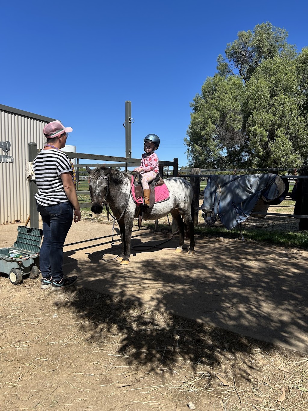 Horse Led Learning | 2 Boolooroo St, Ashley NSW 2400, Australia | Phone: 0409 547 127