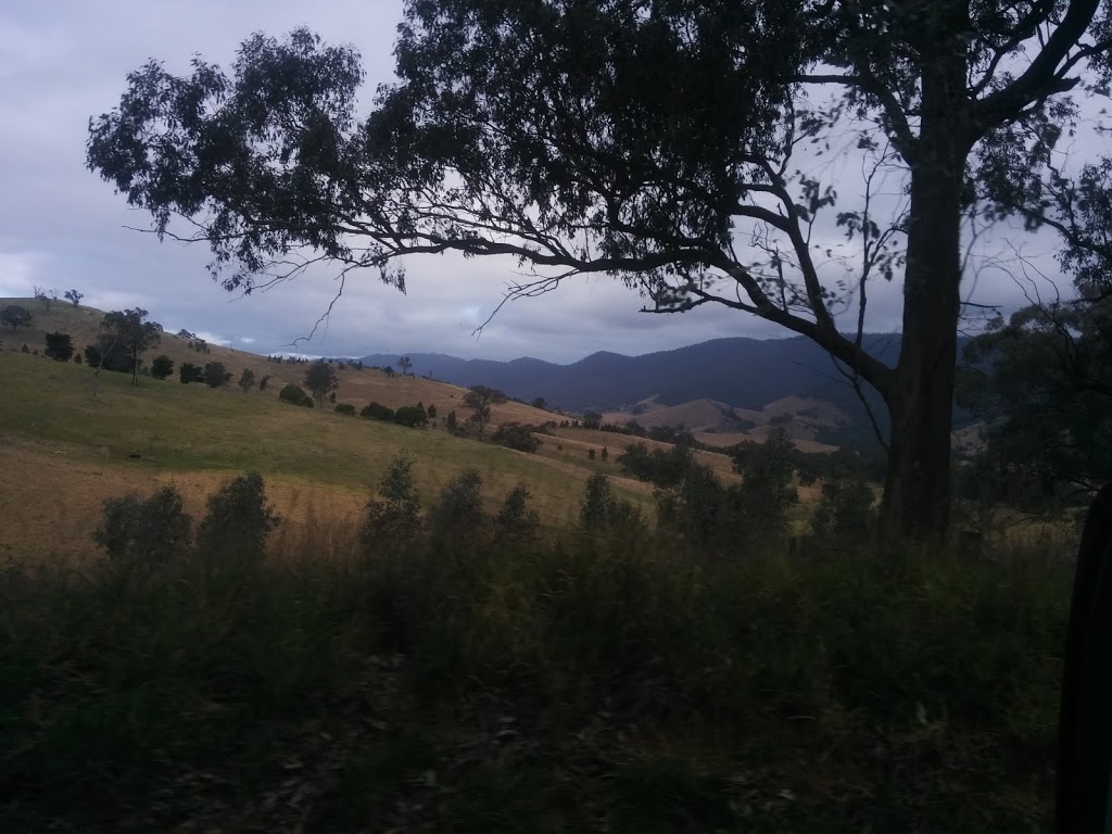 Livingstone Creek Reserve | Omeo VIC 3898, Australia