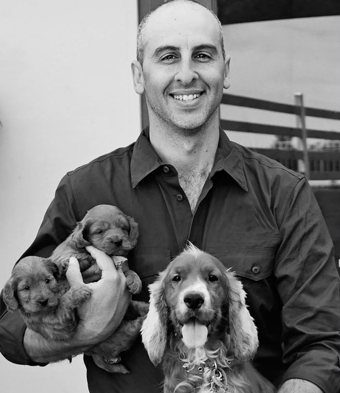 Bredwell Puppies | 3120 Ballan-Meredith Rd, Ballan VIC 3342, Australia | Phone: 0480 637 226