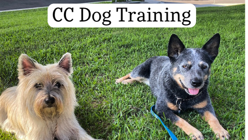 CC Dog Training |  | Church St, Castlereagh NSW 2749, Australia | 0448451799 OR +61 448 451 799