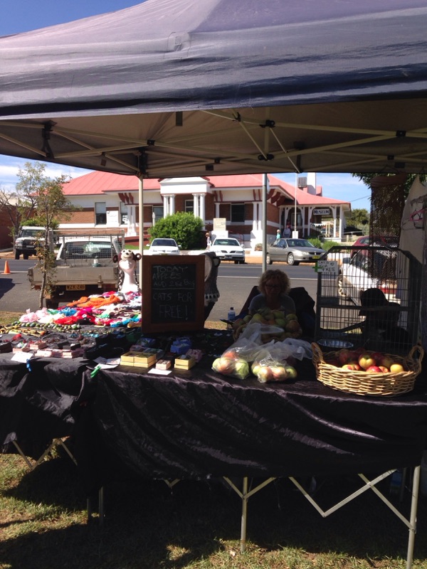 Made n Grown 3 Rivers Markets | 38-40 Bolaro St, Dunedoo NSW 2844, Australia