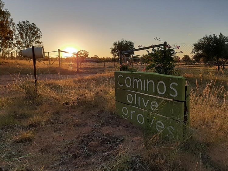 Cominos Olive Groves |  | 2030 Stonehenge Rd, Millmerran QLD 4357, Australia | 0408722798 OR +61 408 722 798