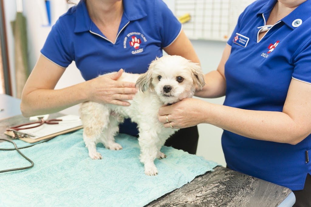 Dr Gabby Chadwick | veterinary care | 6 Cassowary Bend, Eaton WA 6232, Australia