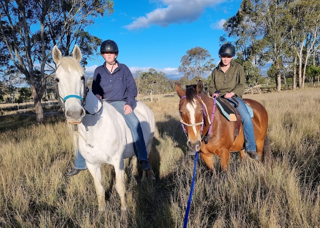 Hands On Horses Australia | 82 Border Gate Rd, Cottonvale QLD 4375, Australia | Phone: 0417 579 264
