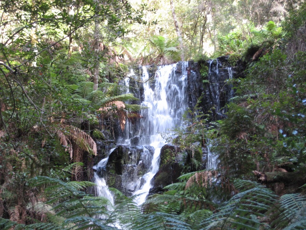 Barrington Tops State Conservation Area | park | Tomalla NSW 2337, Australia
