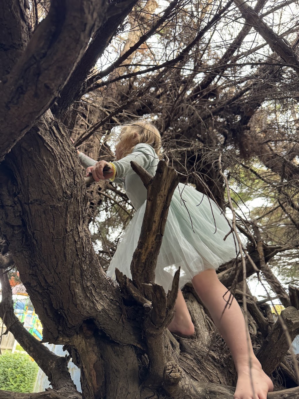 Bakken Thyme Kids | Merrawarp Rd, Ceres VIC 3221, Australia | Phone: 0447 799 280