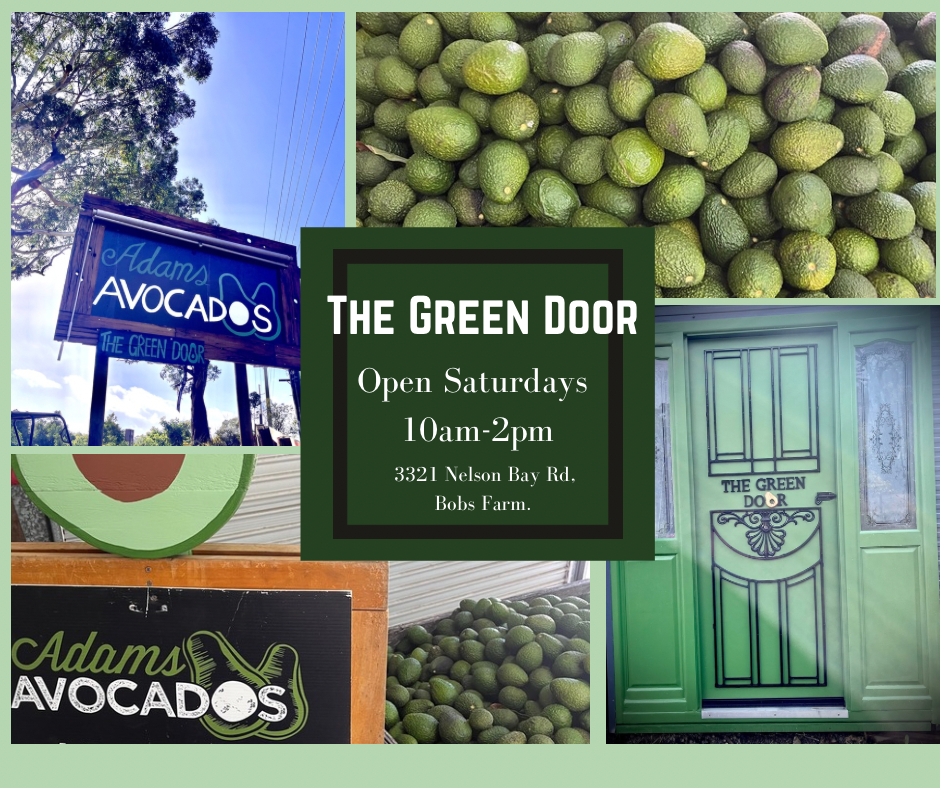 The Green Door by Adams Avocados | 3321 Nelson Bay Rd, Bobs Farm NSW 2316, Australia | Phone: 0409 782 749