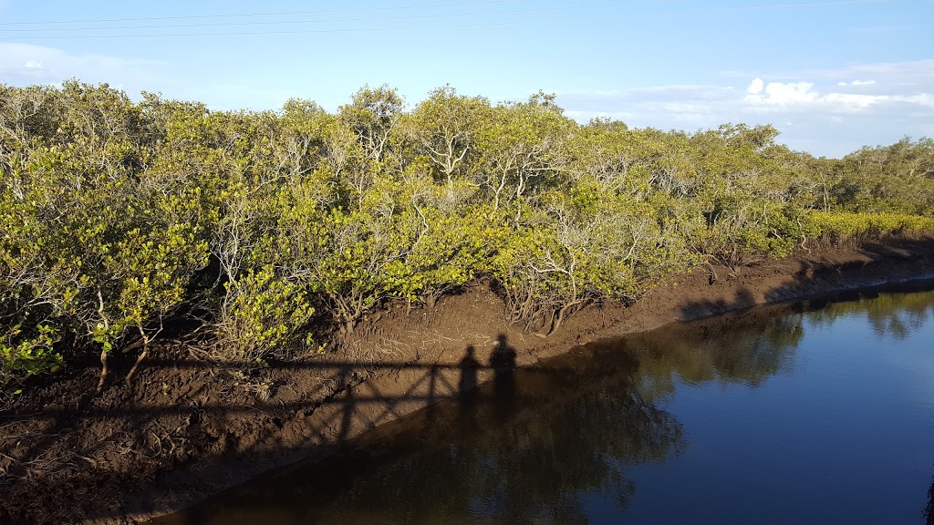 Lota Creek Boardwalk | park | 325 Whites Rd, Lota QLD 4179, Australia