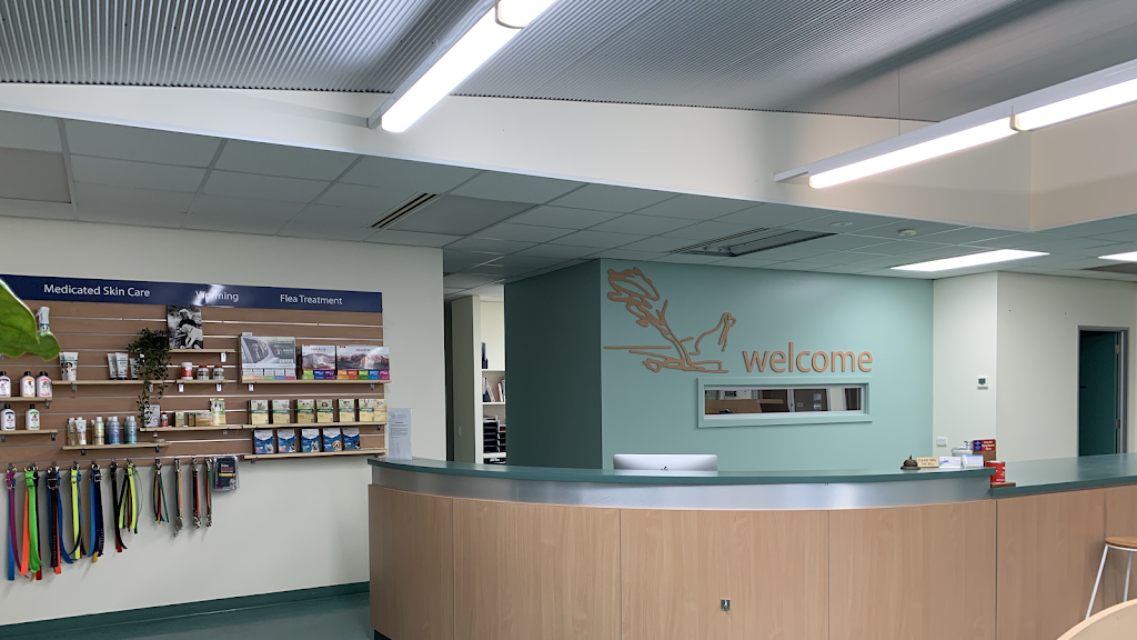 Millicent Veterinary Clinic | pharmacy | 62 Mount Gambier Rd, Millicent SA 5280, Australia | 0887332782 OR +61 8 8733 2782