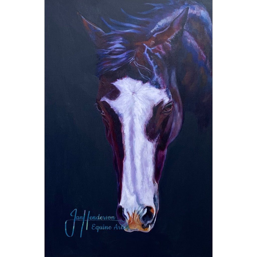 Jan Henderson Artist Australia | Patons Rd, Axe Creek VIC 3551, Australia | Phone: 0407 342 347