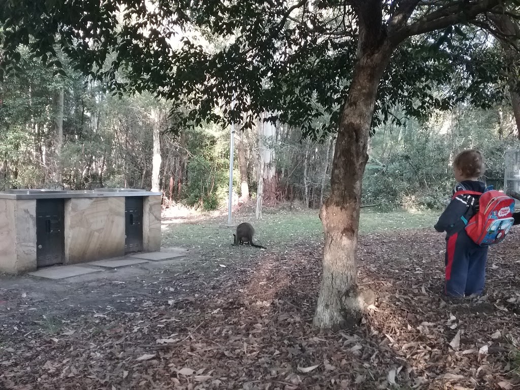 Lamberts Clearing | park | St. Ives NSW 2075, Australia