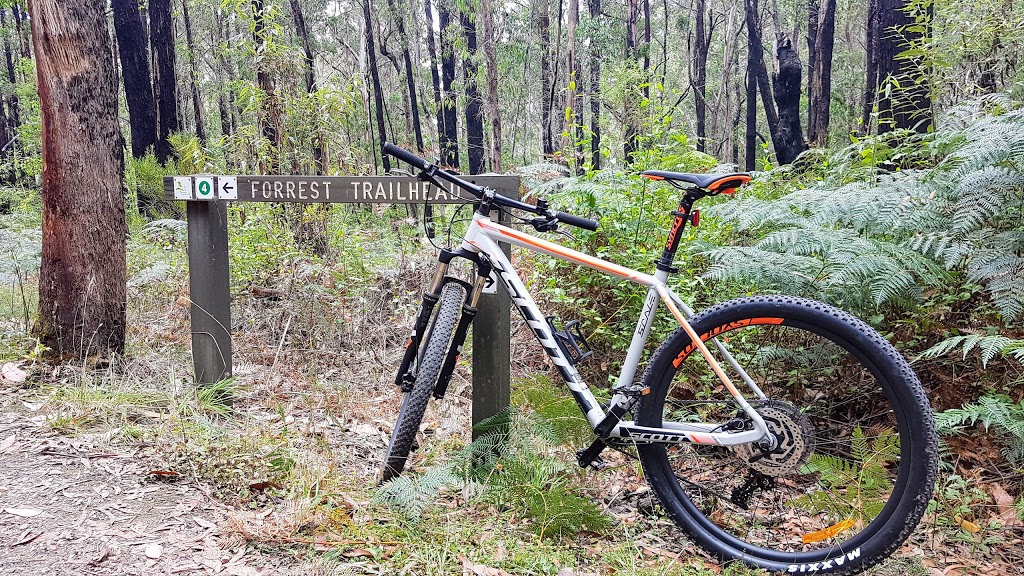 Forrest Yaugher MTB Trailhead | park | Forrest VIC 3236, Australia