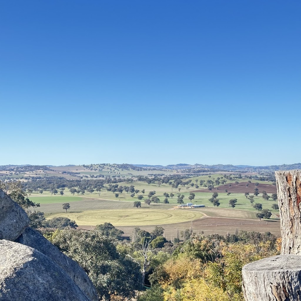 Cowra POW Water Tank Murals | Evans St, Cowra NSW 2794, Australia | Phone: (02) 6342 4333
