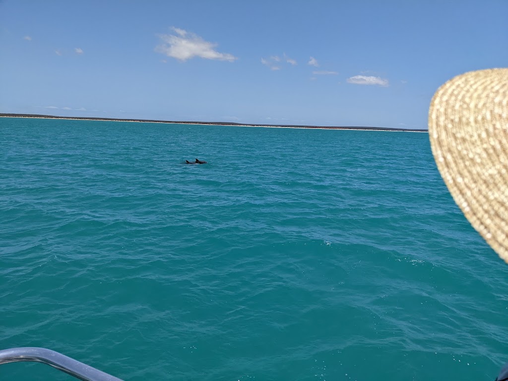 Wildsights Cruises | Jetty WA 6537, Australia | Phone: (08) 9948 1481