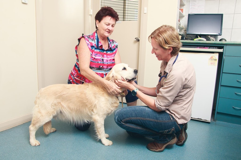Tableland Veterinary Service - Atherton | veterinary care | 1 Tolga Rd, Atherton QLD 4883, Australia | 0740957400 OR +61 7 4095 7400