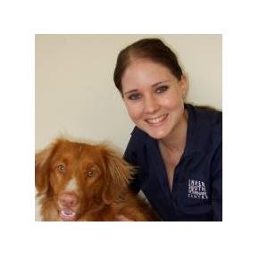 Dr Taryn Marconi BVSc | veterinary care | 47 Jerrabomberra Ave, Narrabundah ACT 2604, Australia | 0262950770 OR +61 2 6295 0770