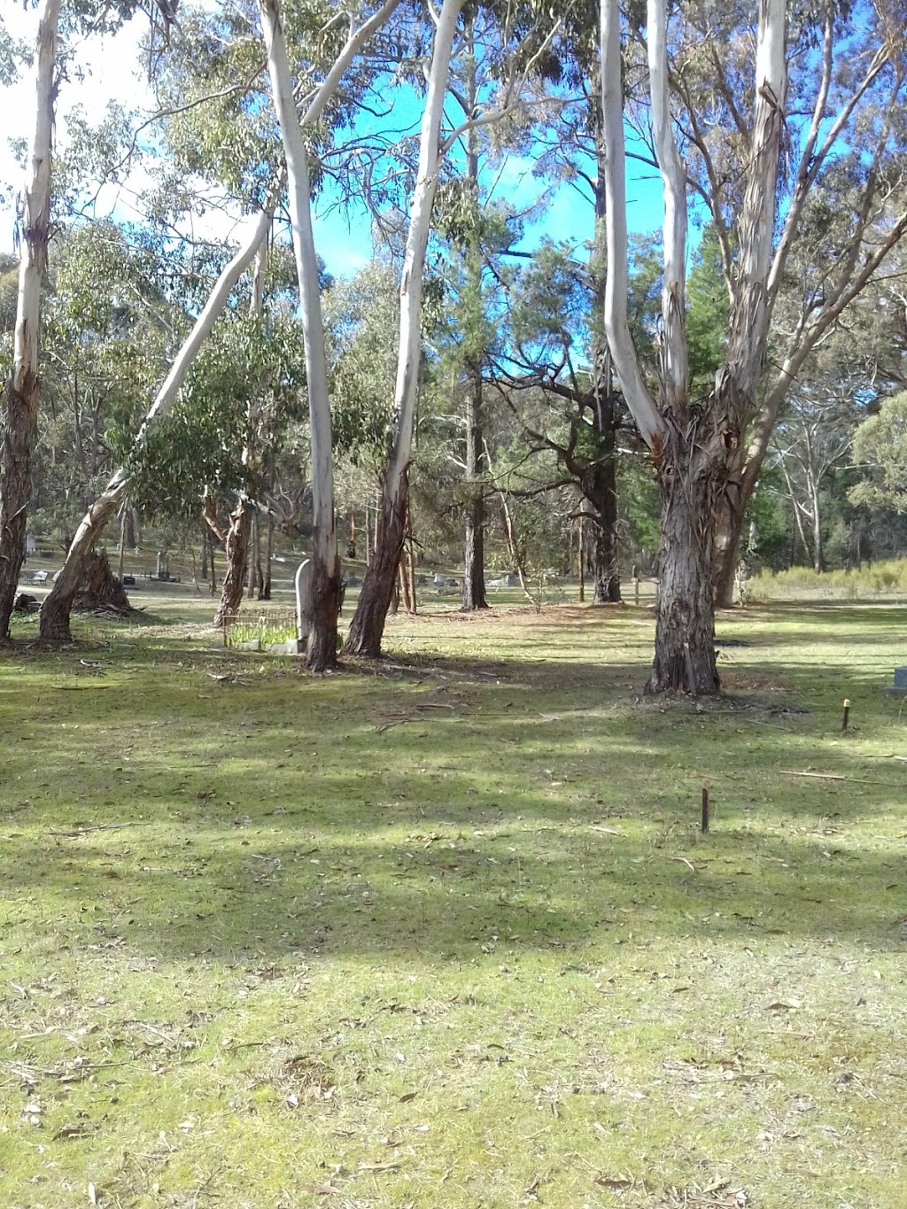 A.G. Millers Resting Place | park | Fryerstown VIC 3451, Australia