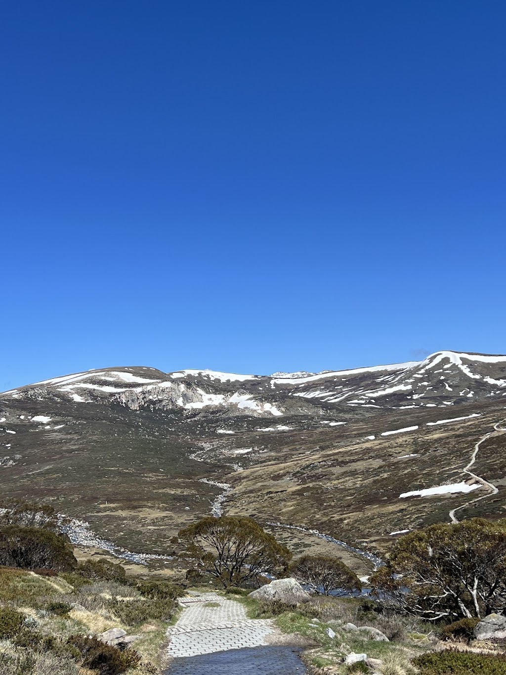 Main Range Walk - Snowies Alpine Walk - Day 2 | Kosciuszko National Park, Main Range Track, Perisher Valley NSW 2624, Australia | Phone: (02) 6450 5600