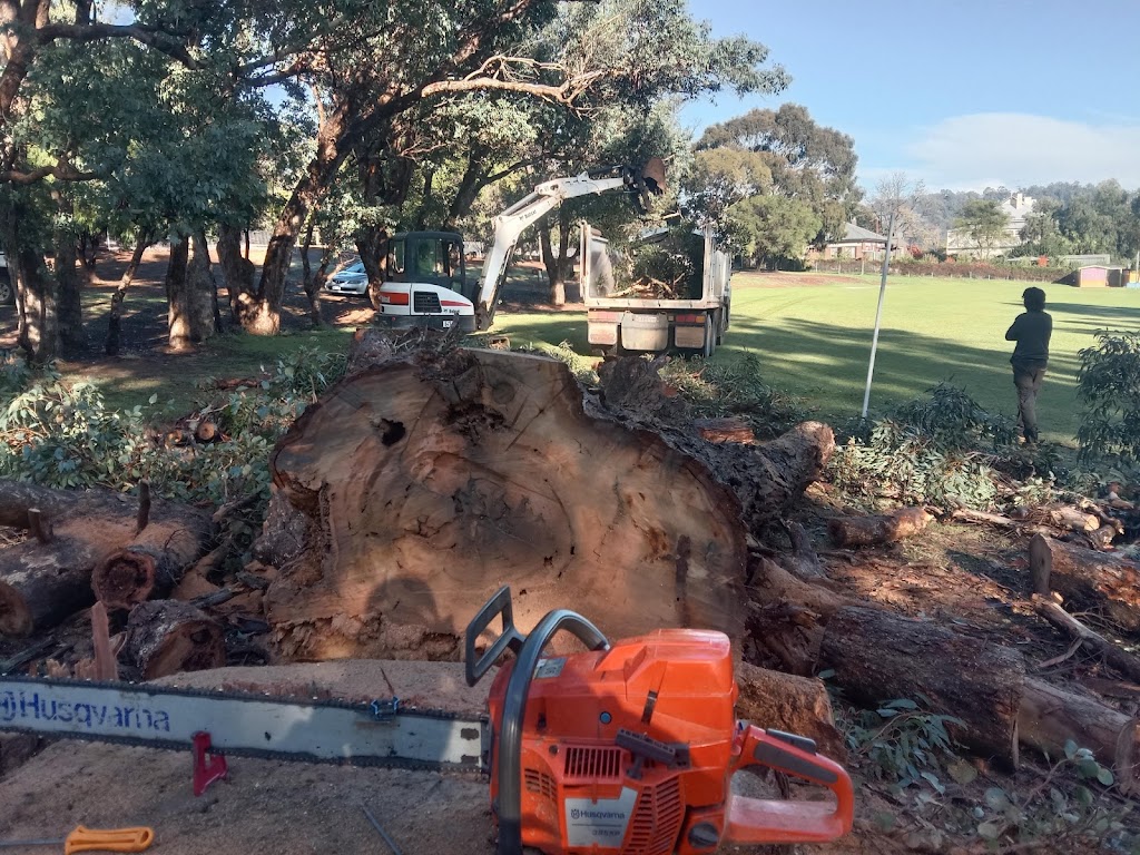 Parks Chainsaw and Tree Services | 32 Forrest St, Bridgetown WA 6255, Australia | Phone: 0459 689 518