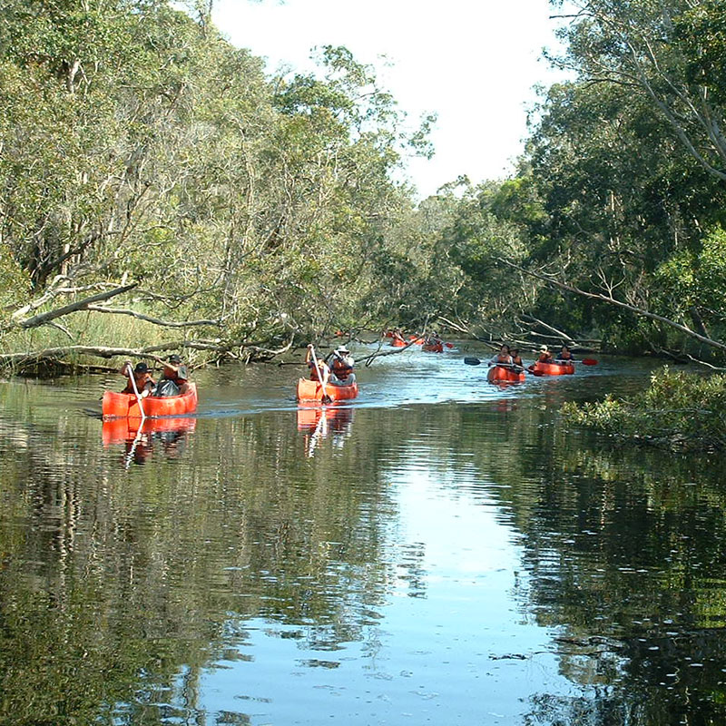 Total Adventures School Camp and Retreat | campground | 137 Maximillian Rd, Noosa North Shore QLD 4565, Australia | 0754405444 OR +61 7 5440 5444