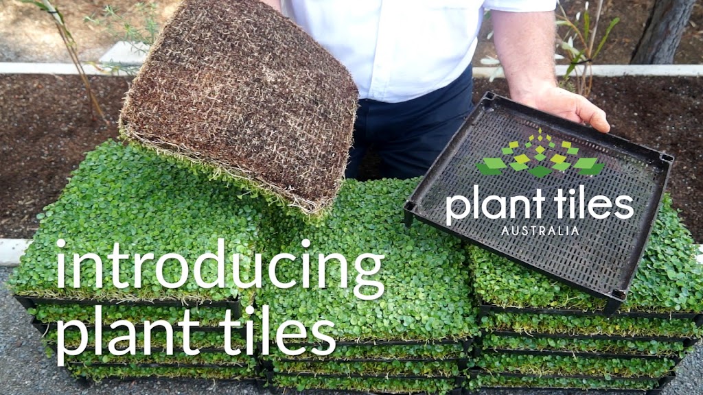 Plant Tiles Australia | 34-40 Burow Rd, Waterford West QLD 4133, Australia | Phone: 0428 979 984