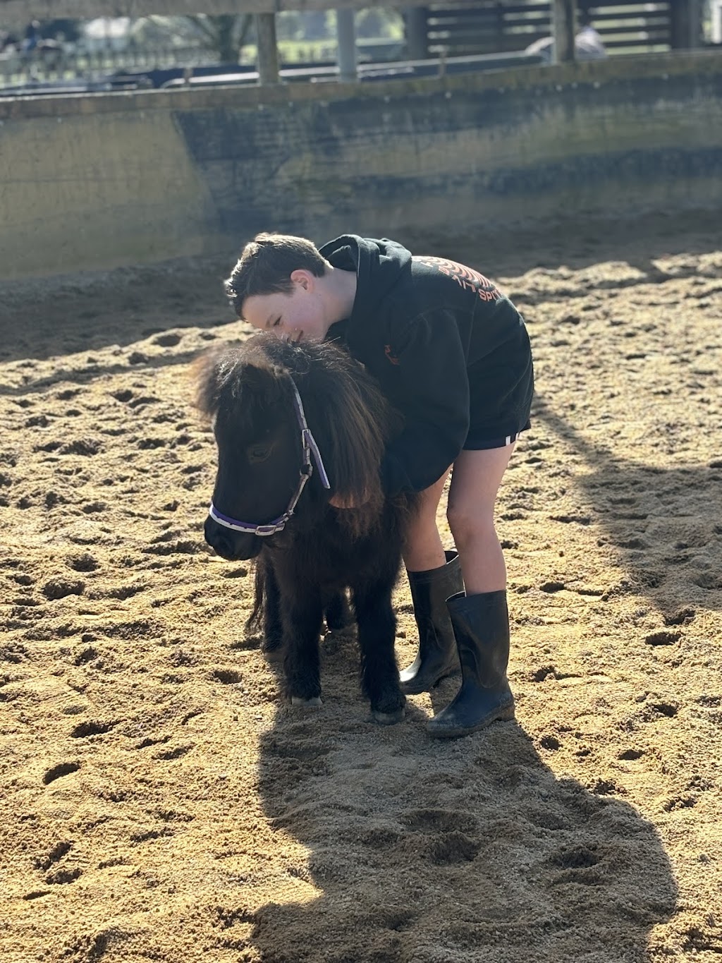 Heartline Equine Therapy and Counselling | 272 Warragul-Lardner Rd, Warragul VIC 3820, Australia | Phone: 0408 984 493