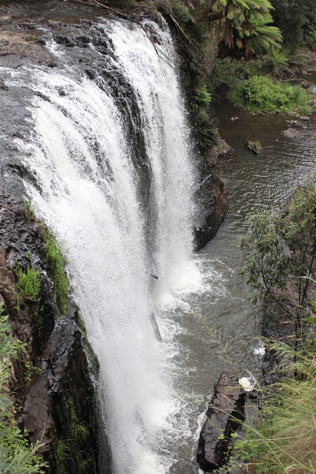 Guide Falls | park | 245 W Ridgley Rd, Ridgley TAS 7321, Australia | 0474821601 OR +61 474 821 601