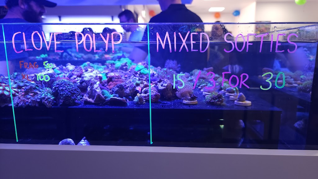 Reeftopia Australia | Unit 7/47 Cook Ct, North Lakes QLD 4509, Australia | Phone: (07) 3132 8055