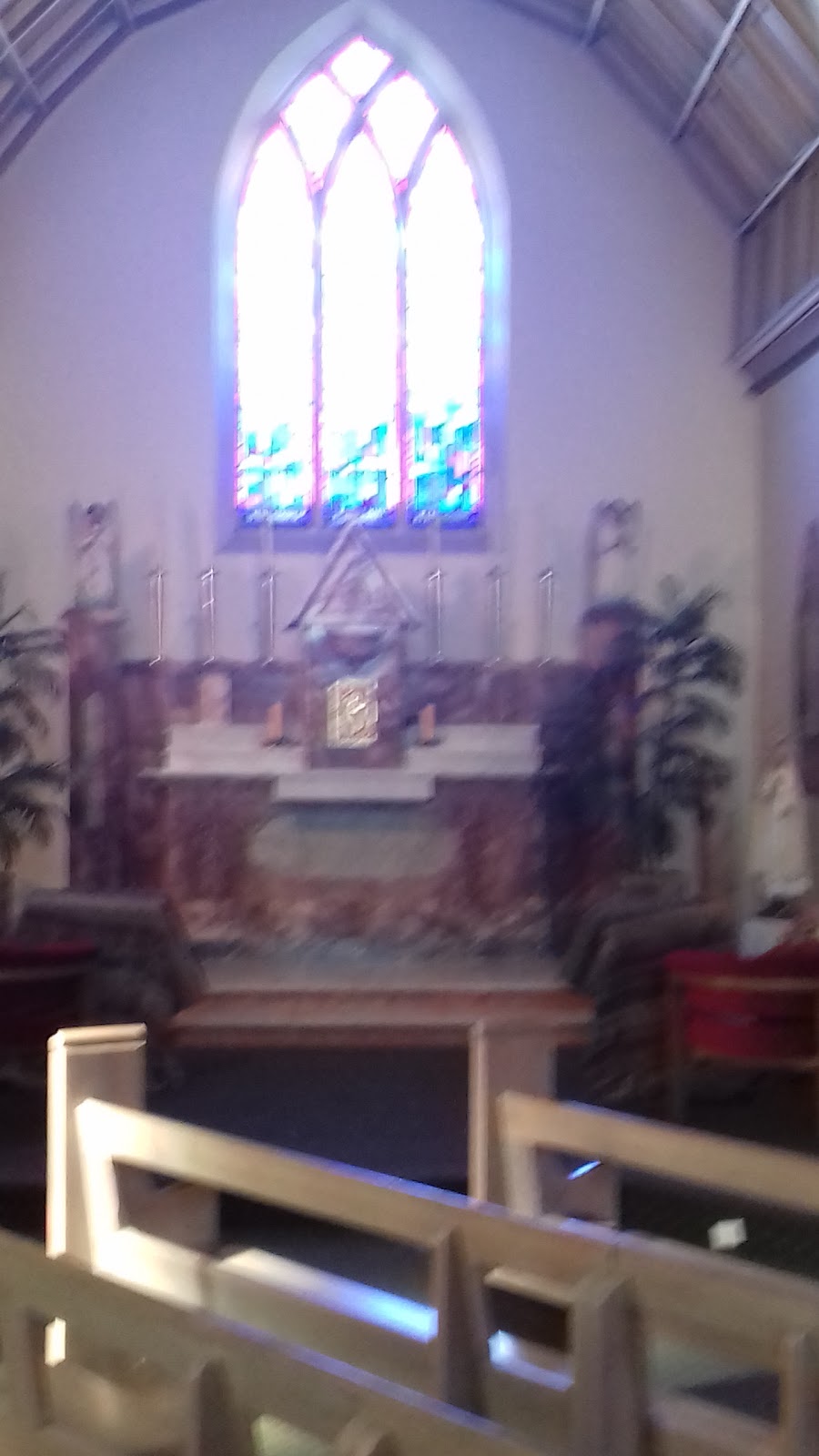 St Finbars Catholic Church | church | 86 Centre Rd, Brighton East VIC 3187, Australia | 0395932122 OR +61 3 9593 2122