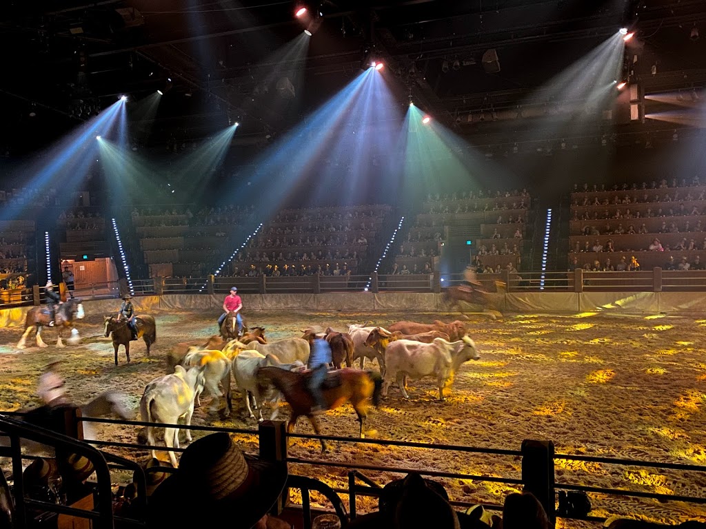 Australian Outback Spectacular | Entertainment Rd, Oxenford QLD 4210, Australia | Phone: 13 33 86