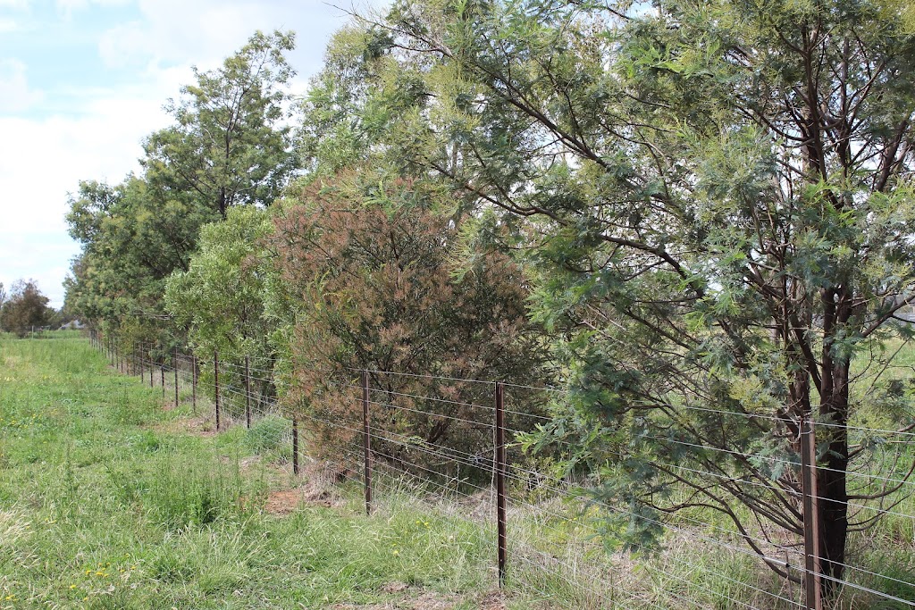 Burton Environmental |  | 58 Strachan Rd, Spring Hill NSW 2800, Australia | 0493100817 OR +61 493 100 817