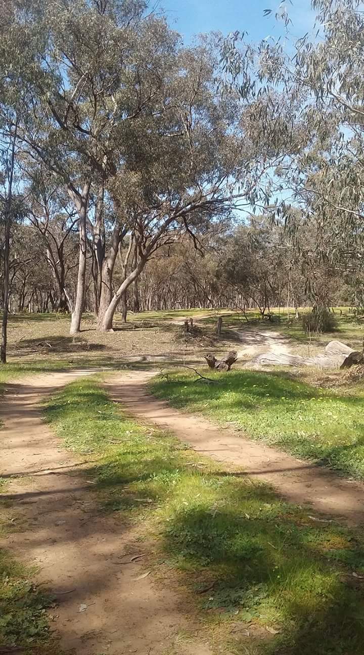 Echuca Recreation Reserve | park | Sutton St, Echuca VIC 3564, Australia