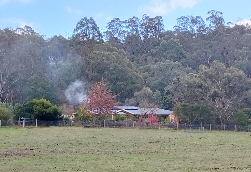 Above the Mist Dexters | 491 Steels Creek Rd, Steels Creek VIC 3775, Australia | Phone: 0412 343 242