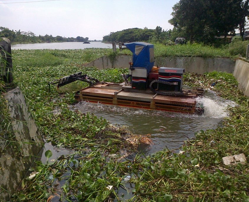 Aquatic Weed Removal & Spraying Services | 33 Lagonda Dr, Ingleburn NSW 2565, Australia | Phone: 0414 618 157