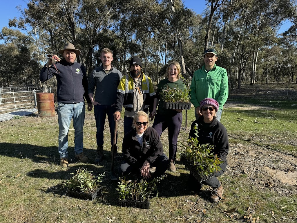 Land Life | Social Foundry Building, 86 Mollison St, Kyneton VIC 3444, Australia | Phone: 0428 298 582