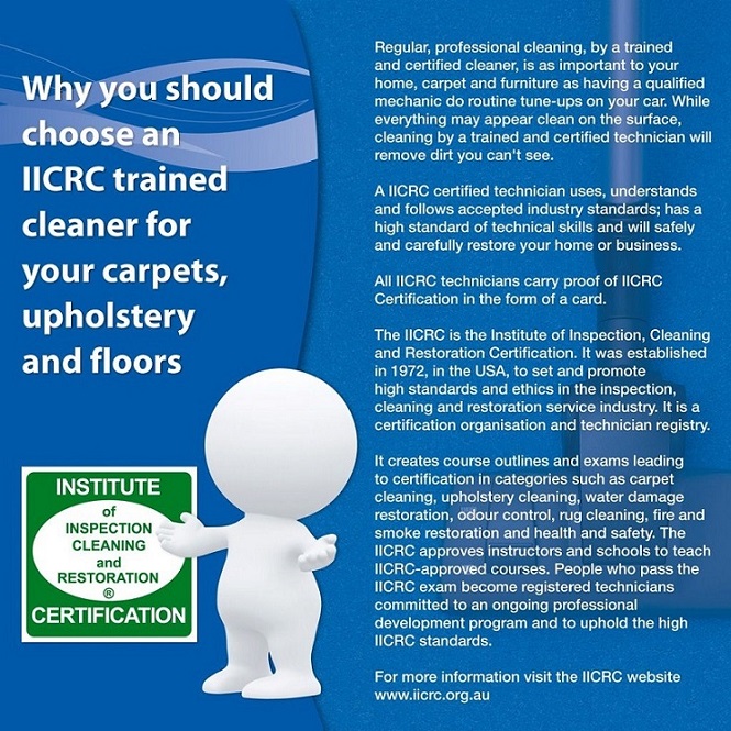 Dry Clean Carpets and Pest Control | 39 Brighton St, Biggera Waters QLD 4216, Australia | Phone: 0430 774 493