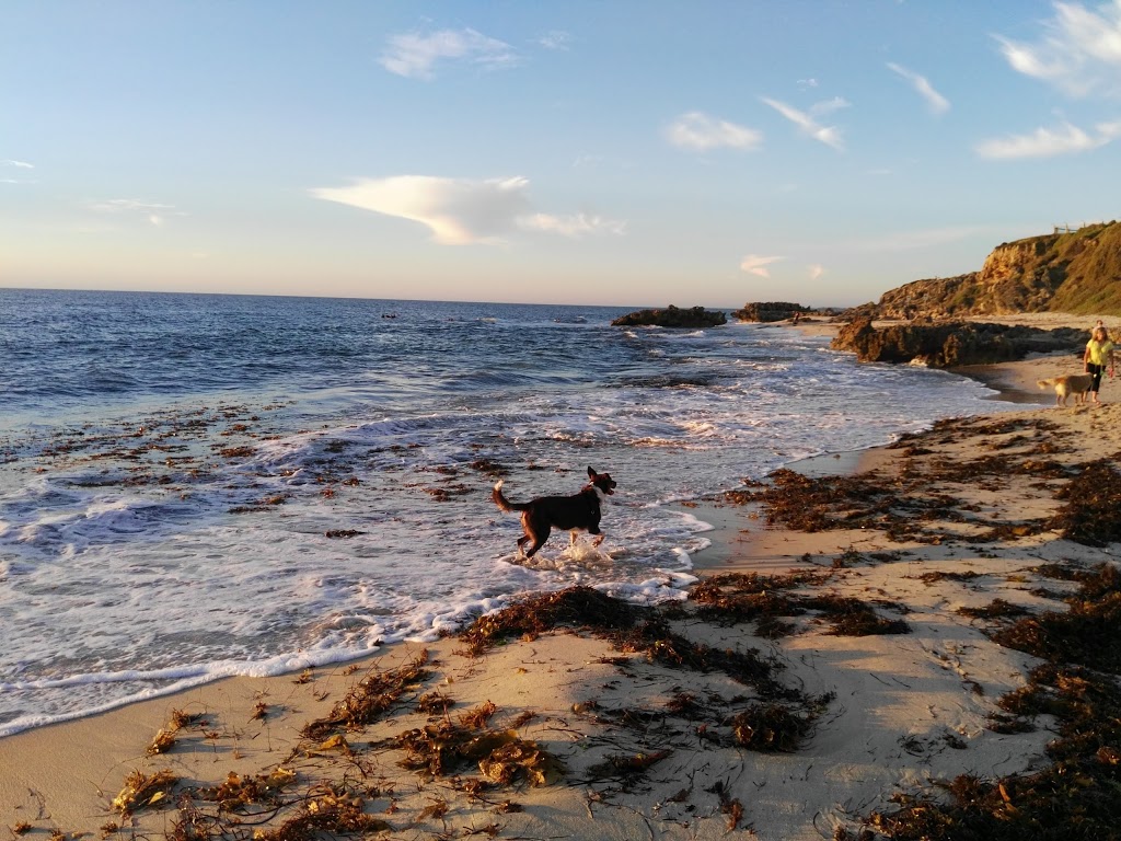 Trigg Dog Beach | 345 W Coast Dr, Trigg WA 6029, Australia | Phone: (08) 9205 8555