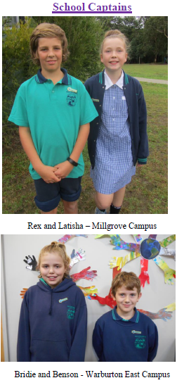 Millwarra Primary School - Warburton East Campus | school | 397 Woods Point Rd, East Warburton VIC 3799, Australia | 0359662065 OR +61 3 5966 2065