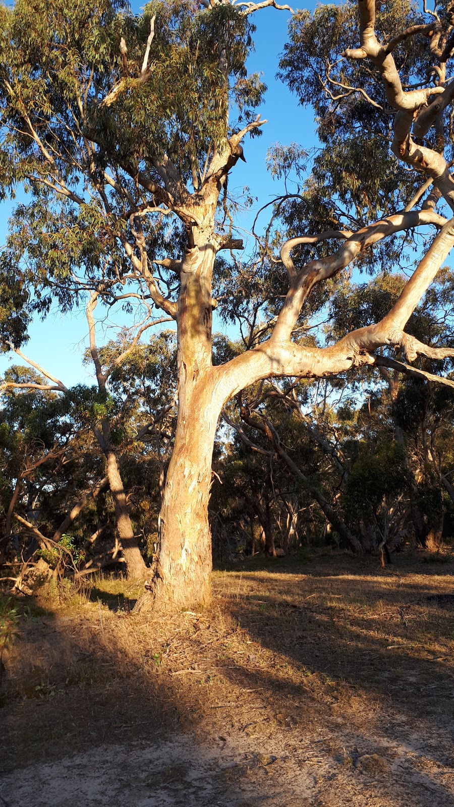 Deep Creek Conservation Park | Deep Creek SA 5204, Australia | Phone: (08) 8598 0263