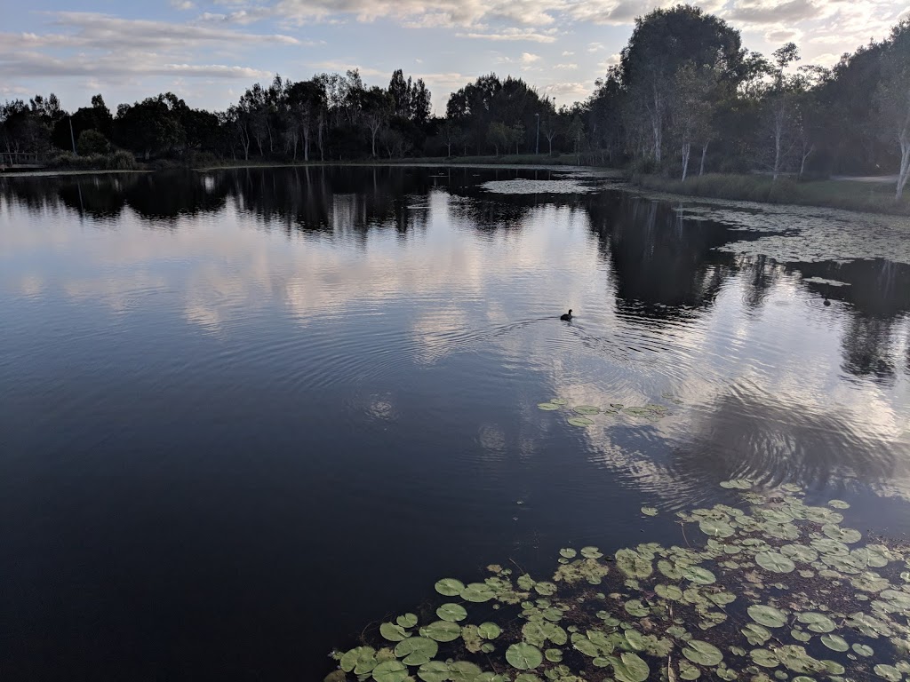 Canavan Gracie Recreational Park | Lomond Cres, Caloundra West QLD 4551, Australia