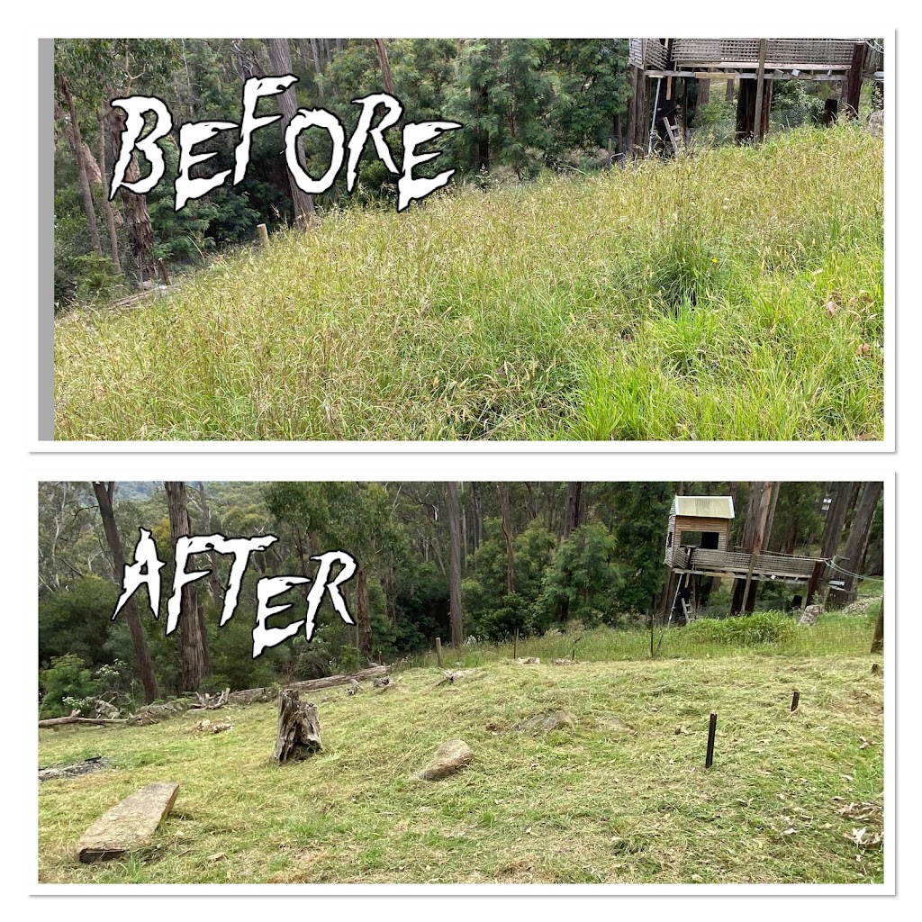 Eat my Grass | general contractor | 79 Blue Horizons Way, Pakenham VIC 3810, Australia | 0433104619 OR +61 433 104 619